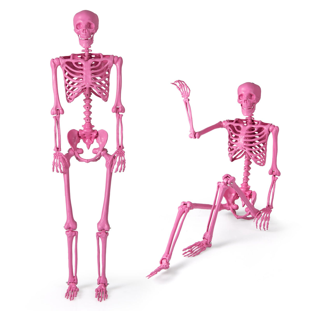 5.5 Ft Life-Size Halloween Poseable Skeleton Pink Movable Joints