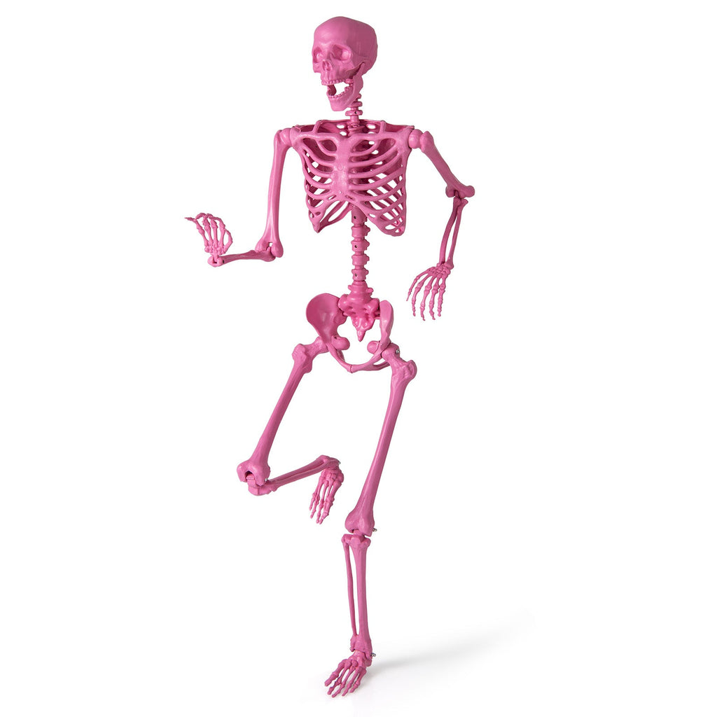 5.5 Ft Life-Size Halloween Poseable Skeleton Pink Movable Joints