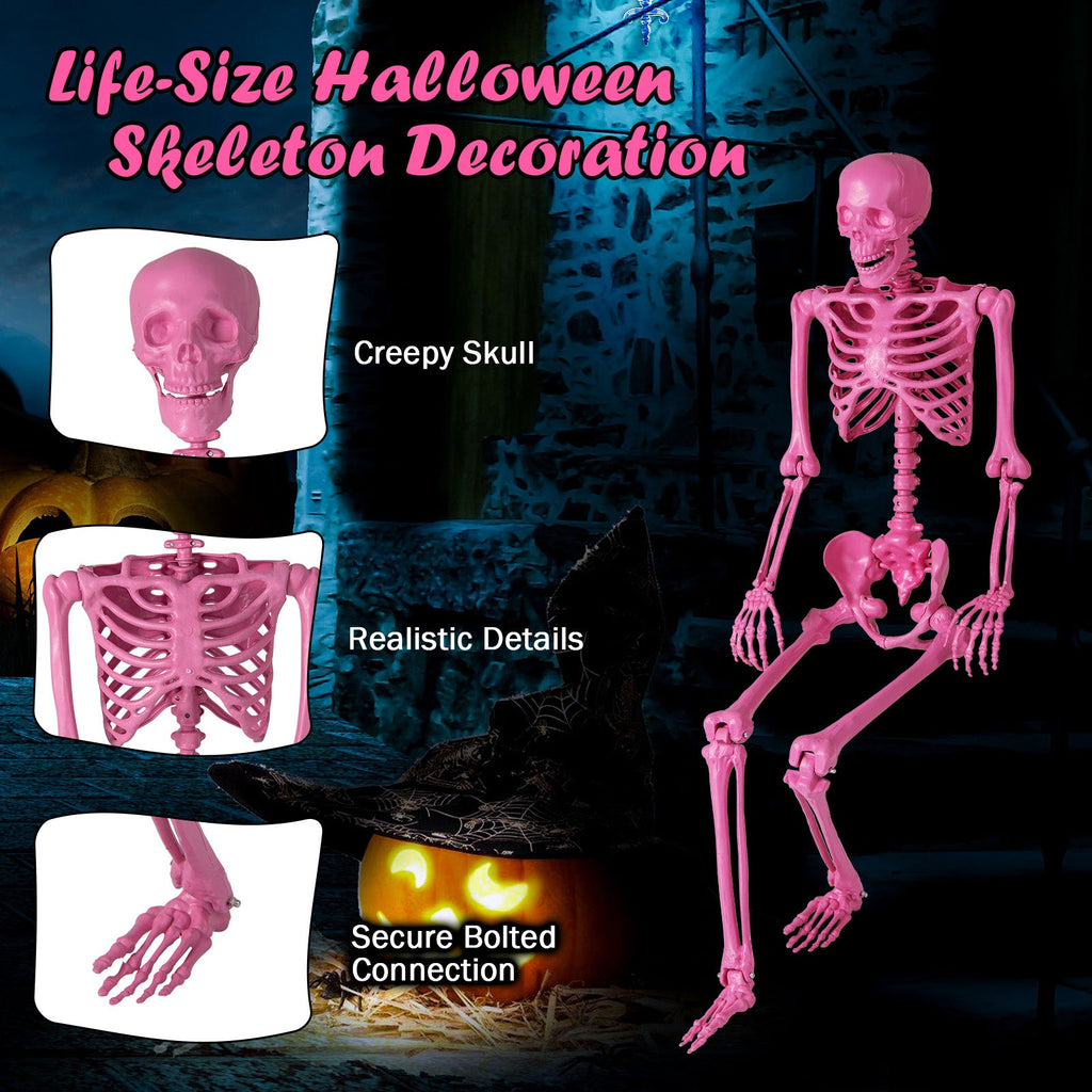 5.5 Ft Life-Size Halloween Poseable Skeleton Pink Movable Joints