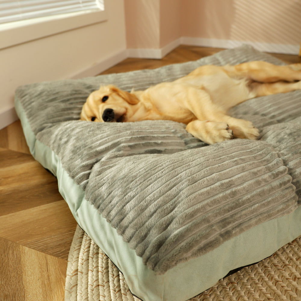 Removable Washable Pet Bed For Sleeping - The misfit market