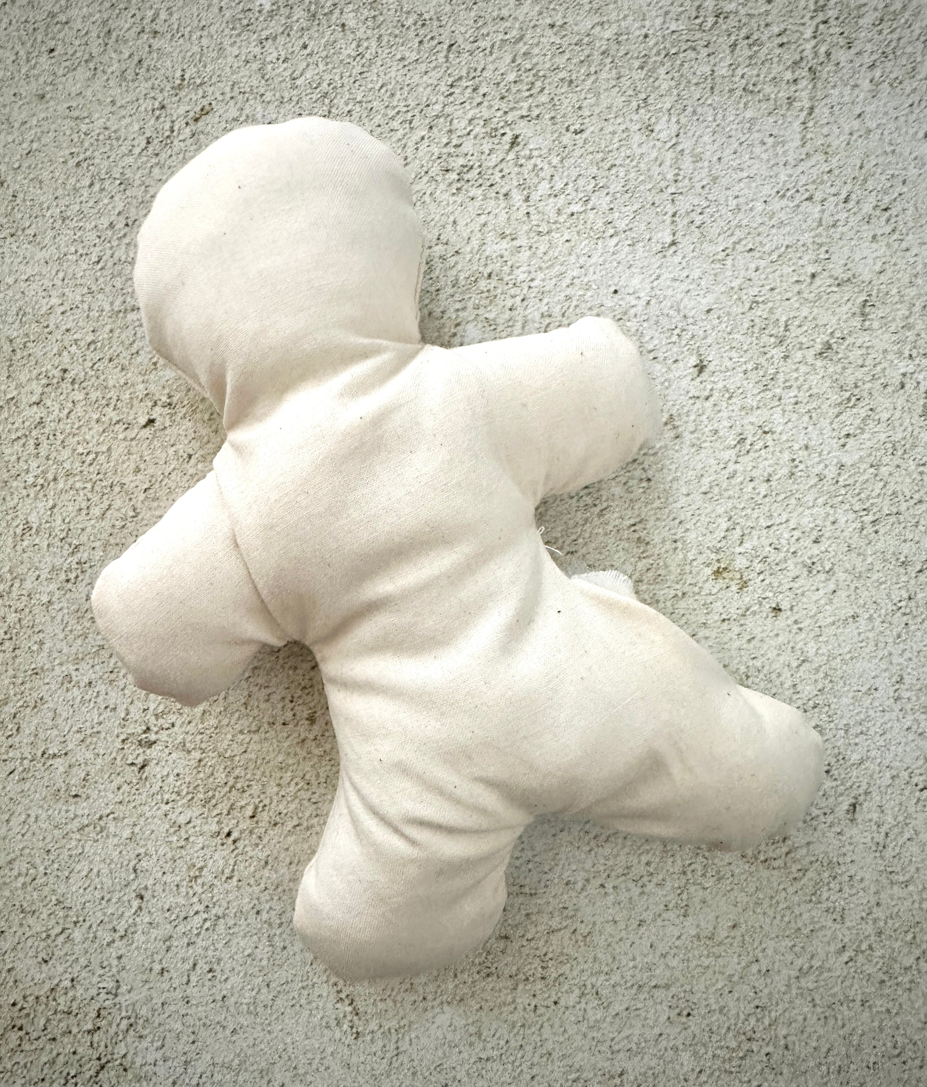 Poppet Doll Kit - Voodoo Doll - Witchcraft Ritual - The misfit market