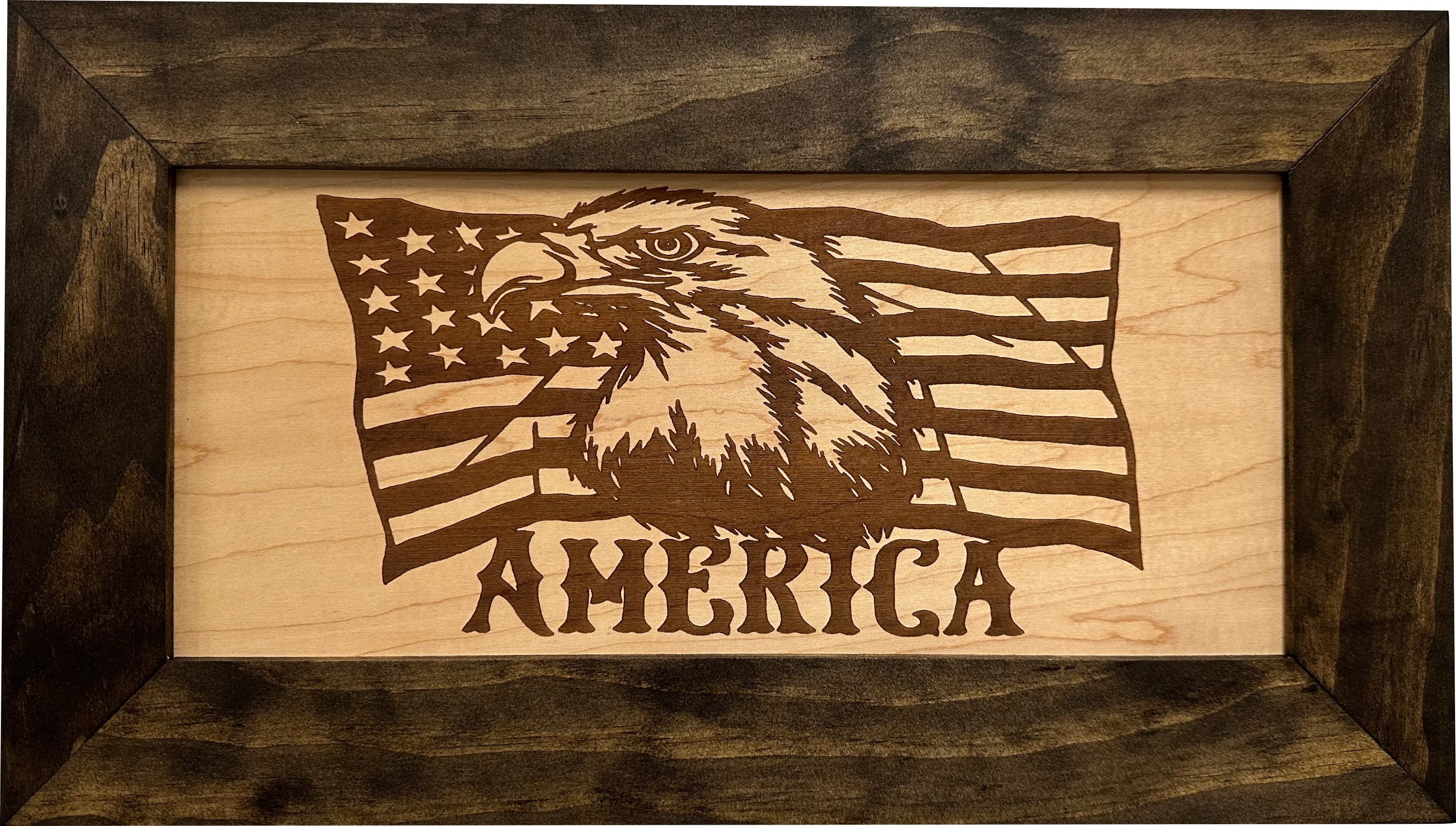 American Flag with Bald Eagle Patriotic Decorative Wall-Mounted Secure Gun Cabinet - The misfit market