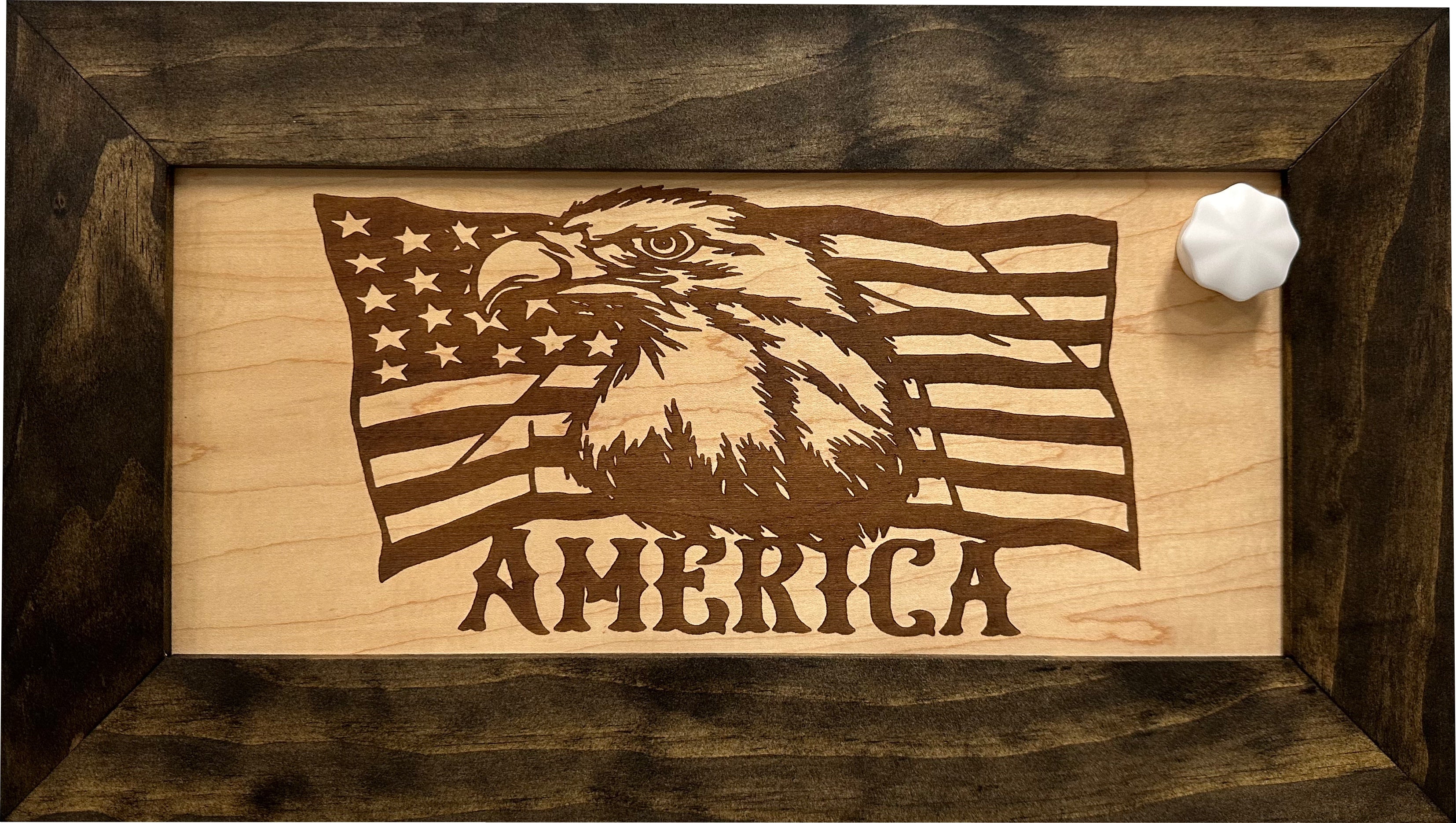 American Flag with Bald Eagle Patriotic Decorative Wall-Mounted Secure Gun Cabinet - The misfit market