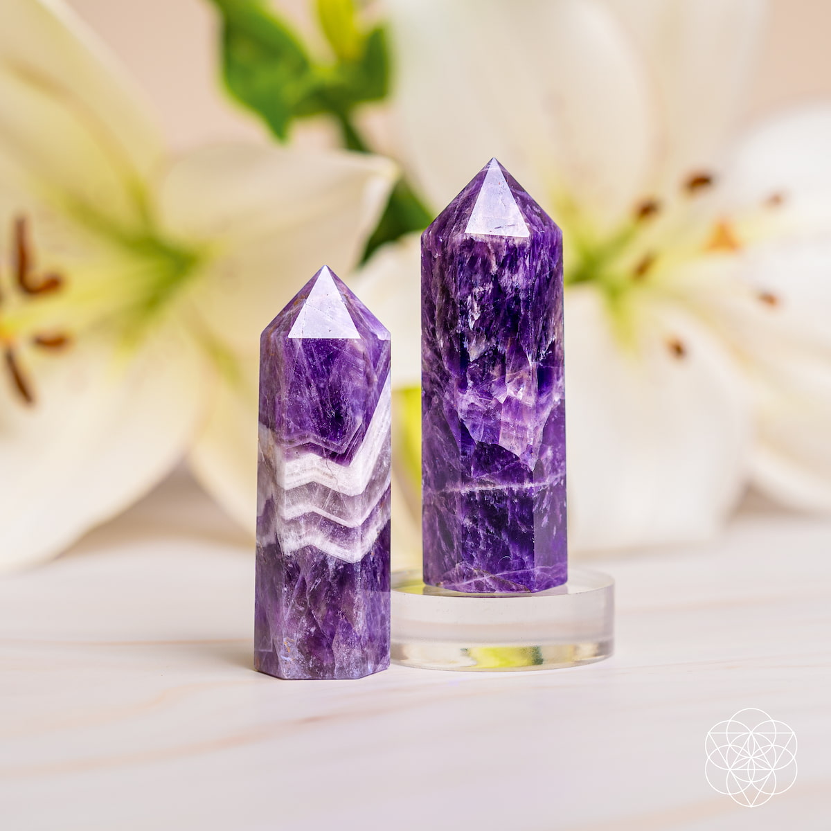 Cycle Breaker - Chevron Amethyst Point of Transformation - The misfit market