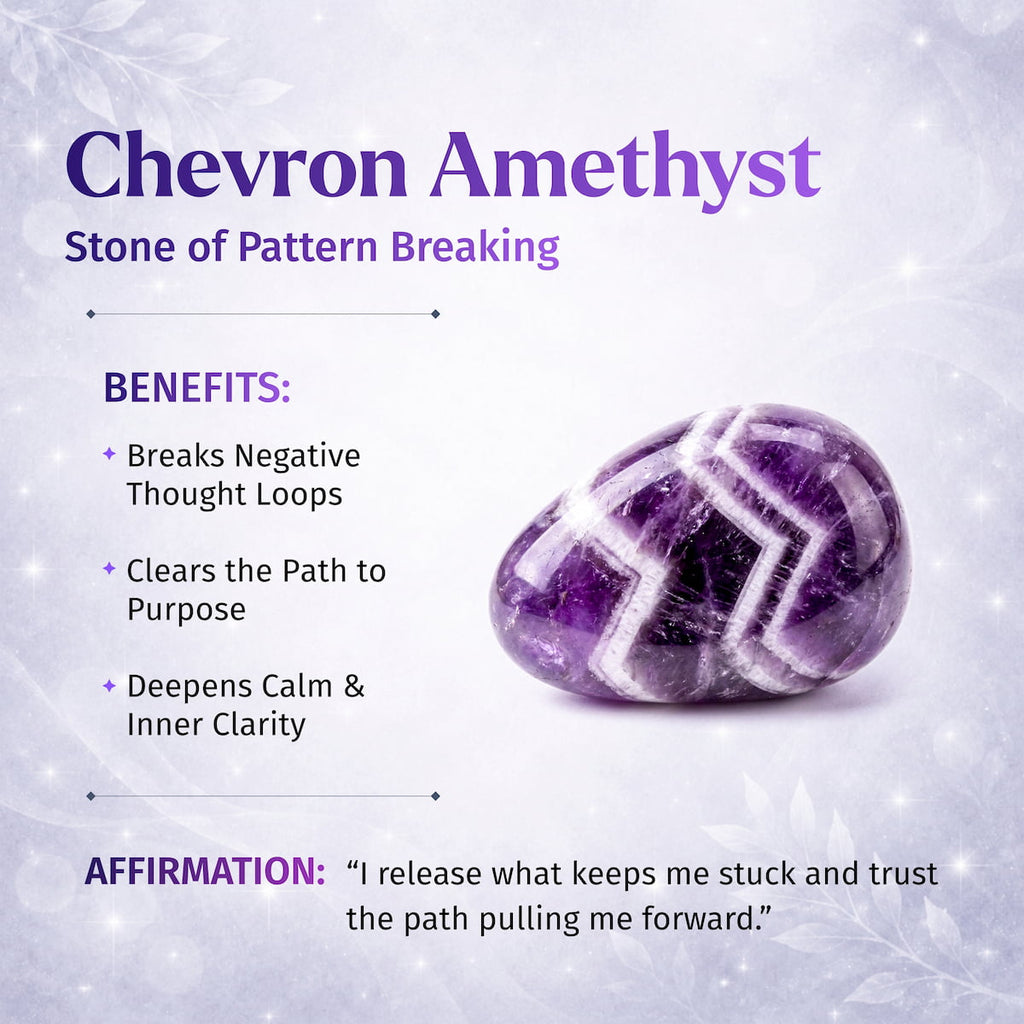 Cycle Breaker - Chevron Amethyst Point of Transformation - The misfit market