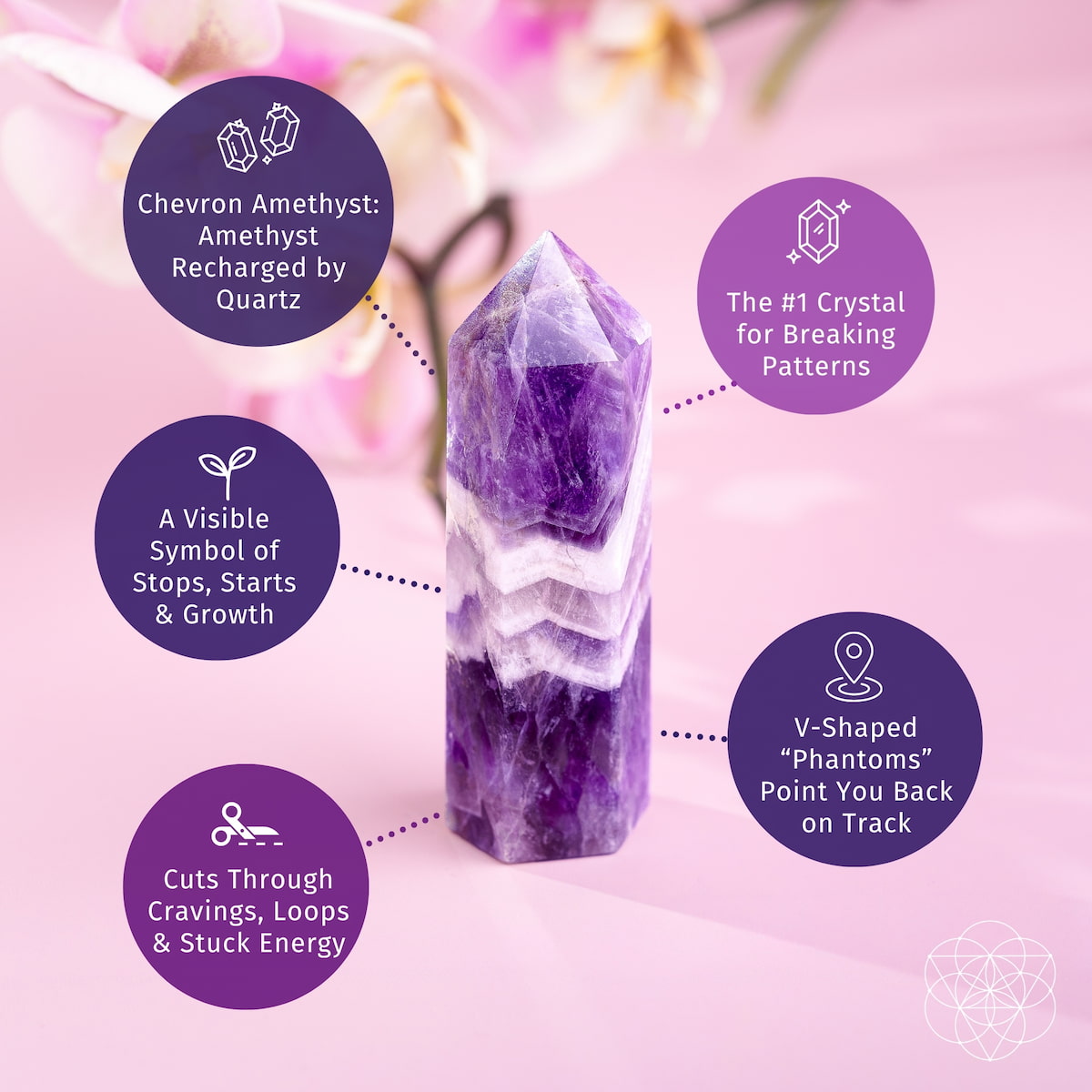 Cycle Breaker - Chevron Amethyst Point of Transformation - The misfit market