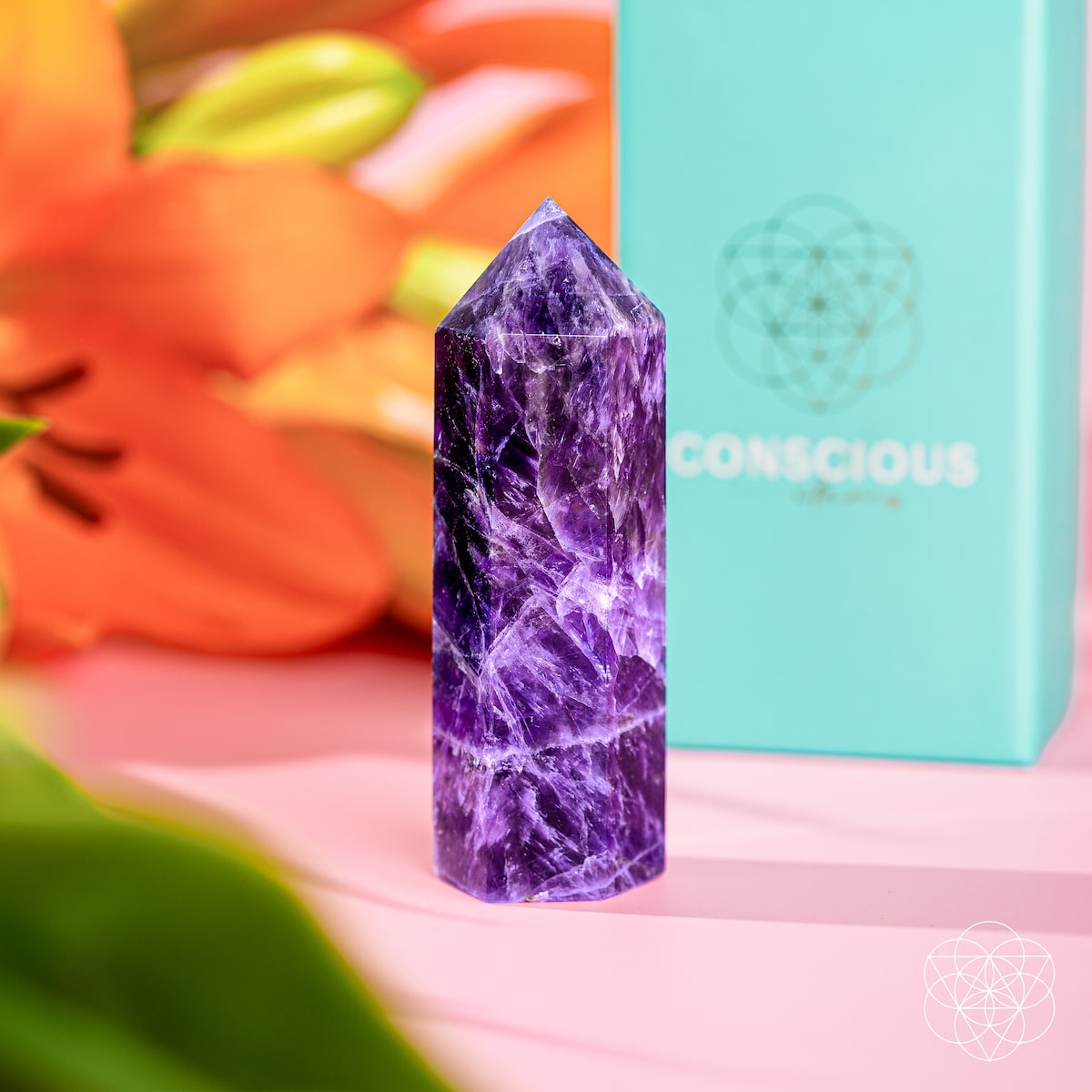 Cycle Breaker - Chevron Amethyst Point of Transformation - The misfit market