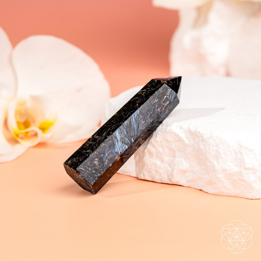 This Is Your Breakthrough – Rare Arfvedsonite Point - The misfit market