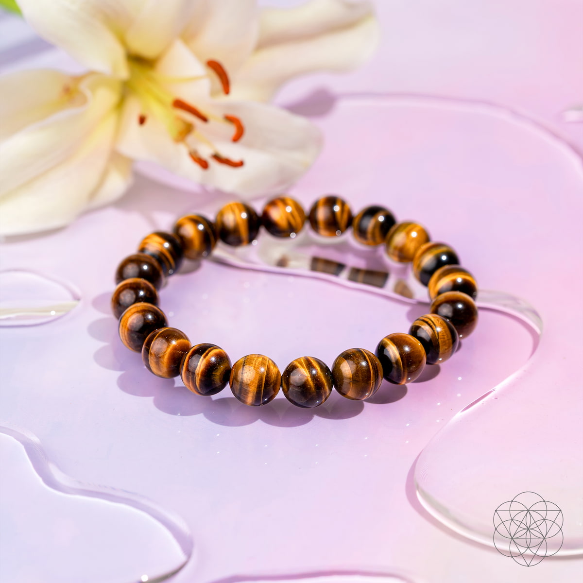 Built to Win – 7A Grade Tiger’s Eye Bracelet - The misfit market