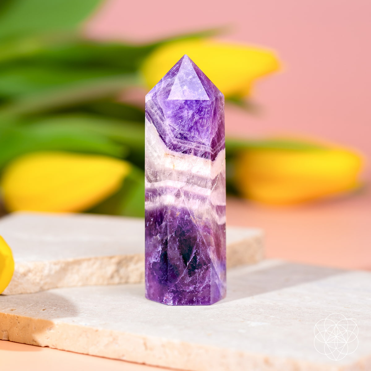 Cycle Breaker - Chevron Amethyst Point of Transformation - The misfit market