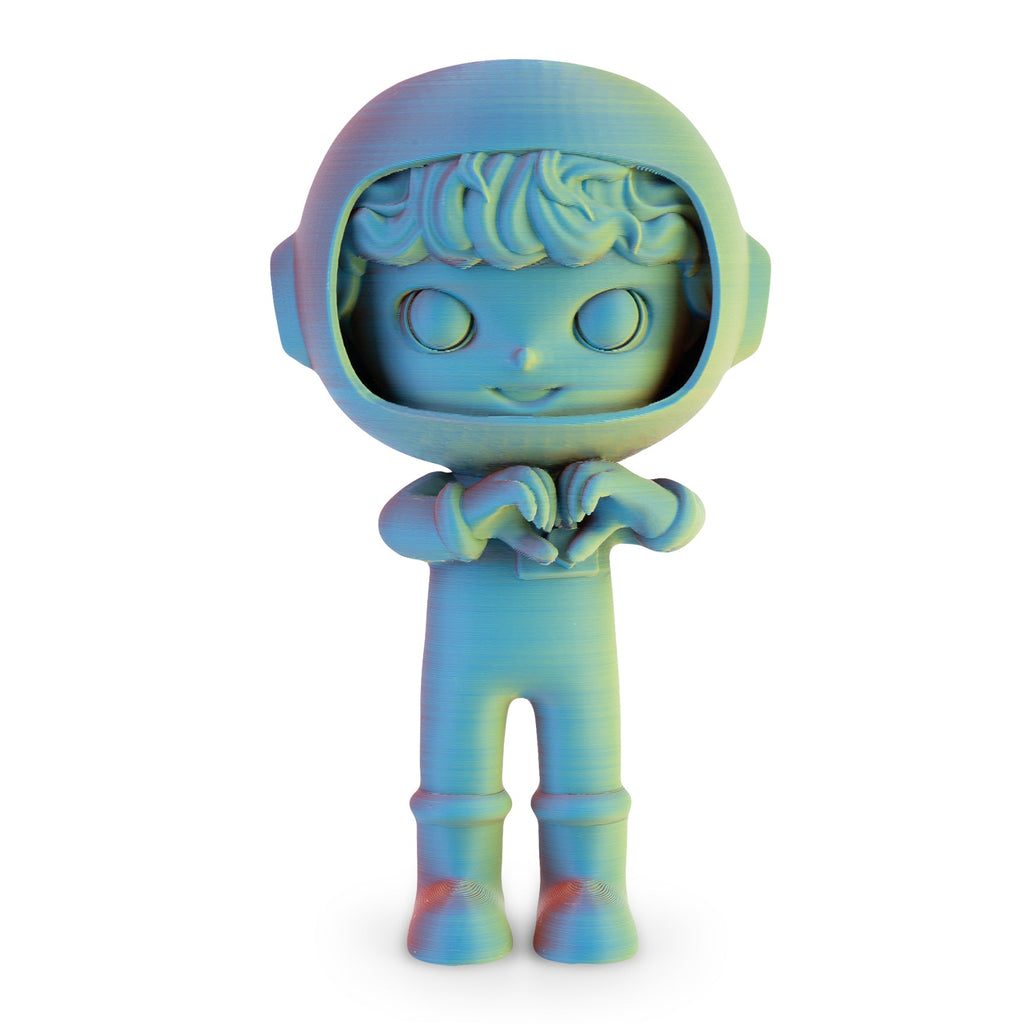 PLA Matte Dual Filament 1.75mm, 1KG/2.2LB - The misfit market