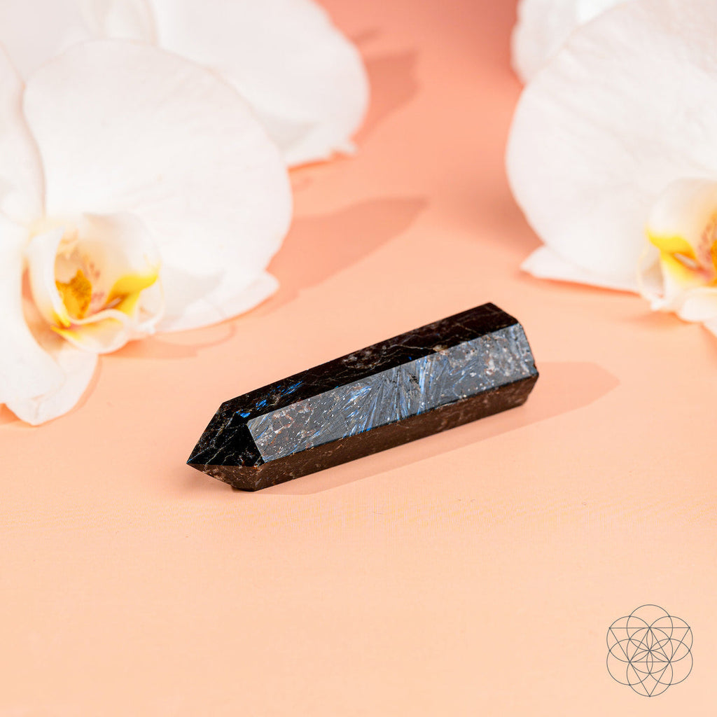 This Is Your Breakthrough – Rare Arfvedsonite Point - The misfit market