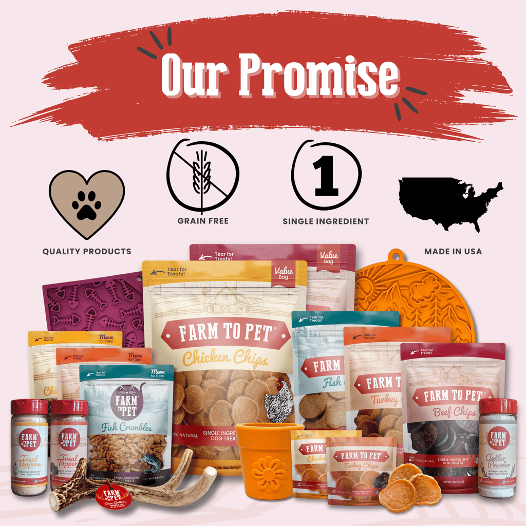 Healthy Beef Dog Treats for Happy Pets | the misfit market - The misfit market