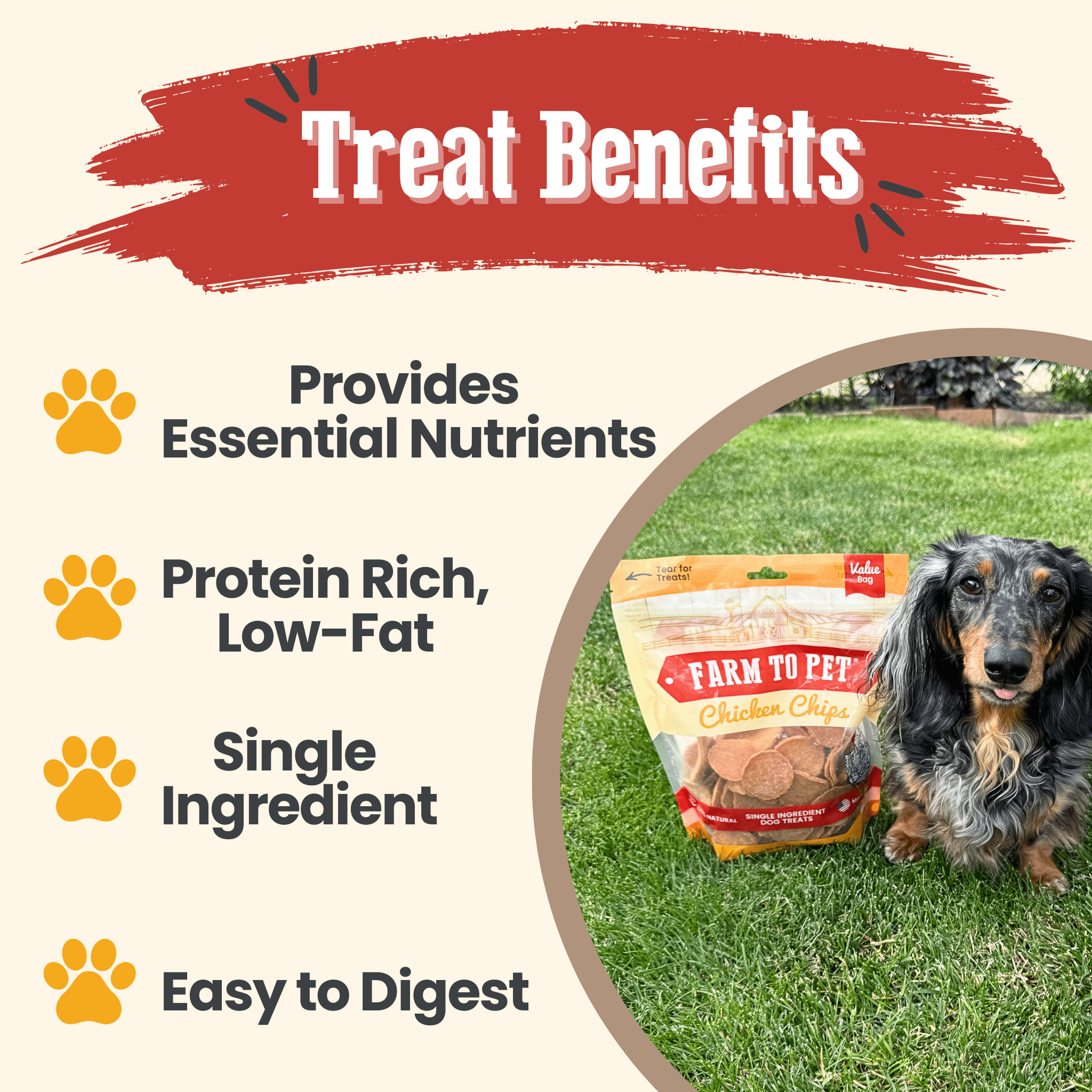 Chicken Chips for Dogs | All-Natural Single-Ingredient Dog Treats - The misfit market