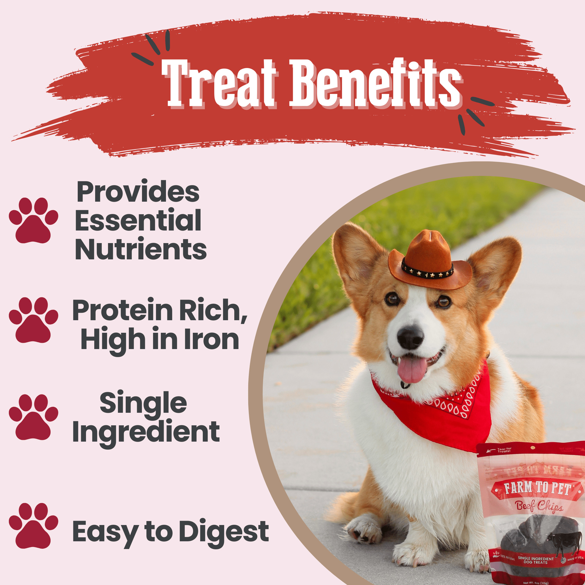 Healthy Beef Dog Treats for Happy Pets | the misfit market - The misfit market