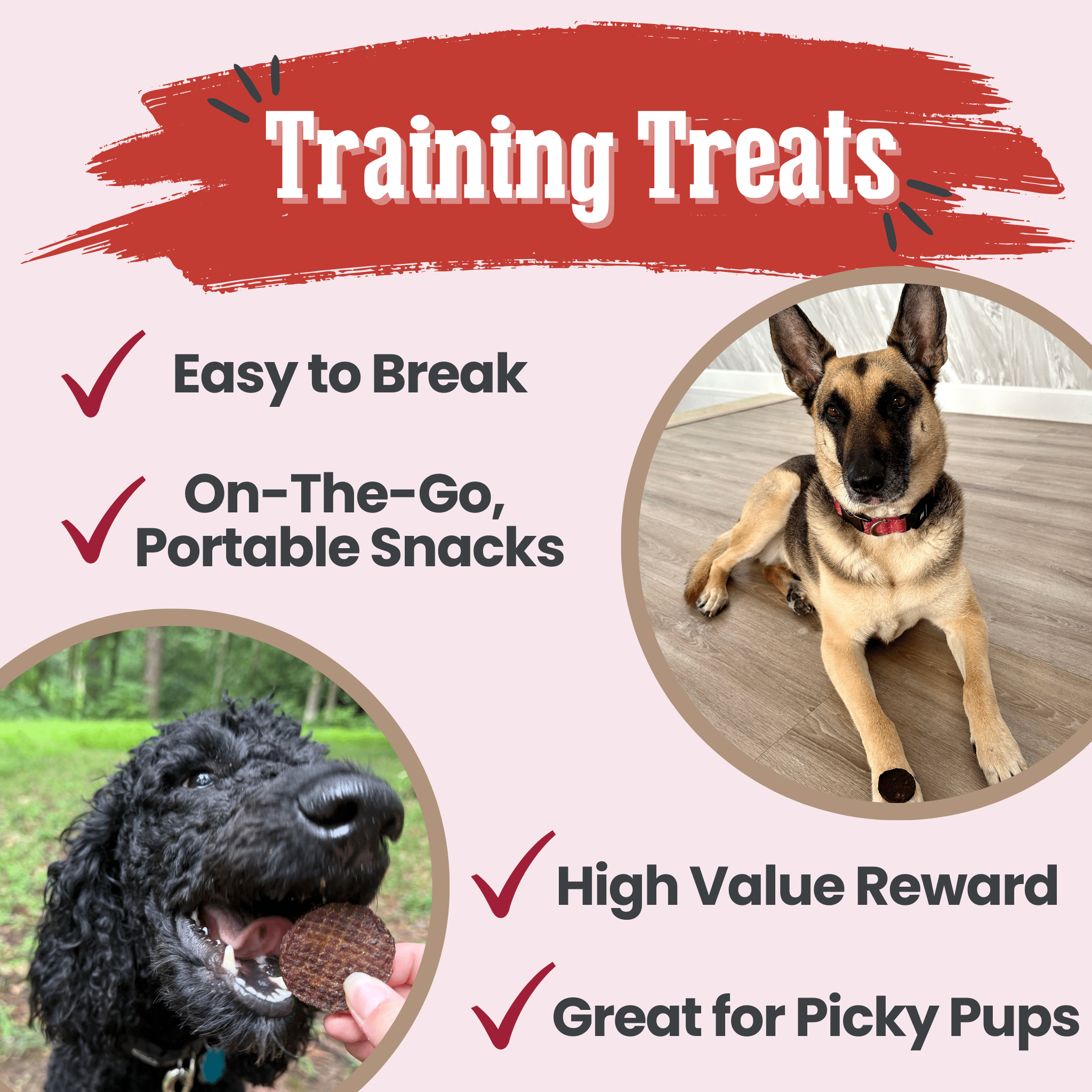 Healthy Beef Dog Treats for Happy Pets | the misfit market - The misfit market