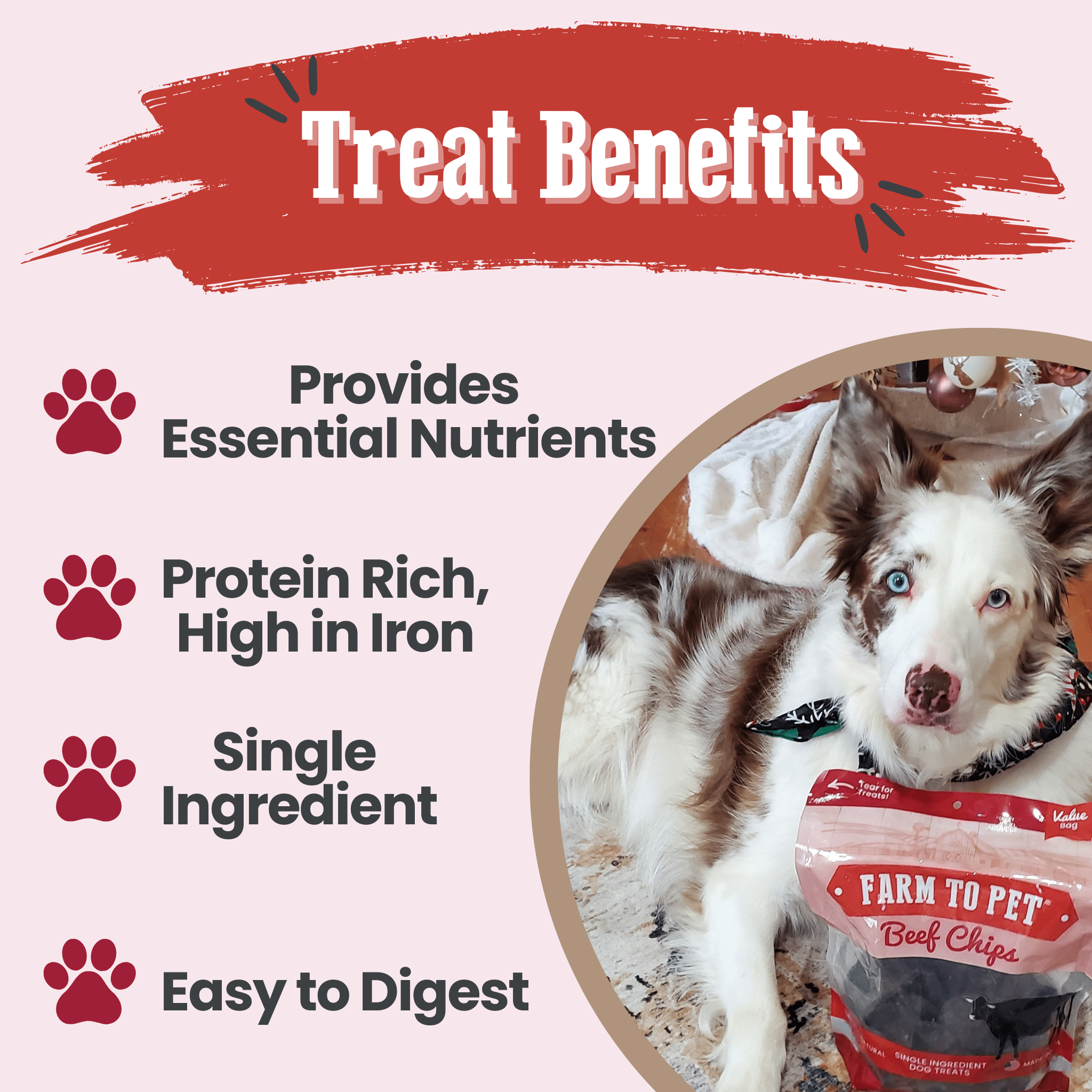 Healthy Beef Dog Treats for Happy Pets | the misfit market - The misfit market
