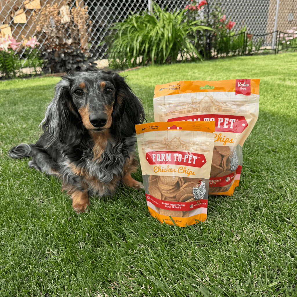 Chicken Chips for Dogs | All-Natural Single-Ingredient Dog Treats - The misfit market