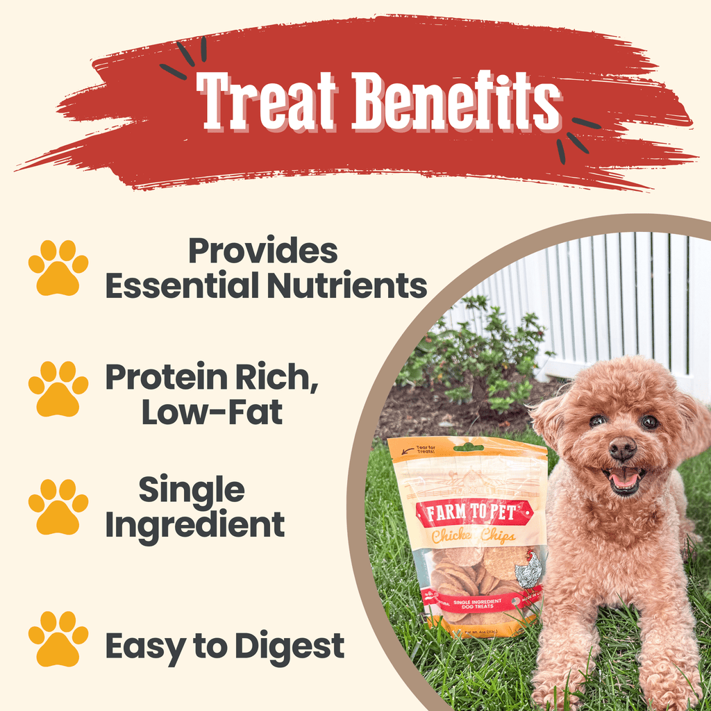 Chicken Chips for Dogs | All-Natural Single-Ingredient Dog Treats - The misfit market