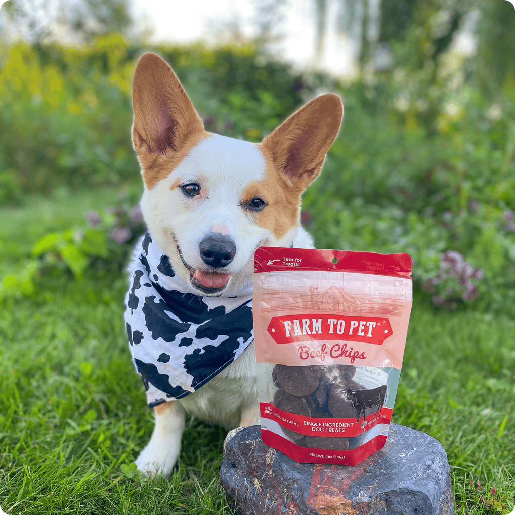 Healthy Beef Dog Treats for Happy Pets | the misfit market - The misfit market