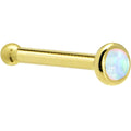 Gold barbell with a gemstone on a white background