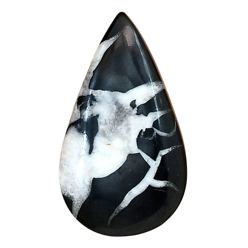 Black Septarian 34x19.55x6.5 mm Pear Gemstone LS02883-47 - The misfit market