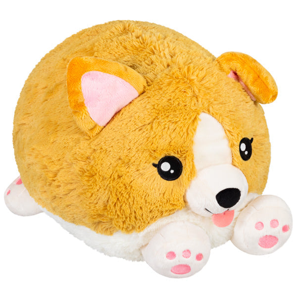 Squishable Baby Corgi (Standard) - The misfit market