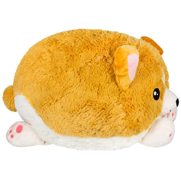 Squishable Baby Corgi (Standard) - The misfit market