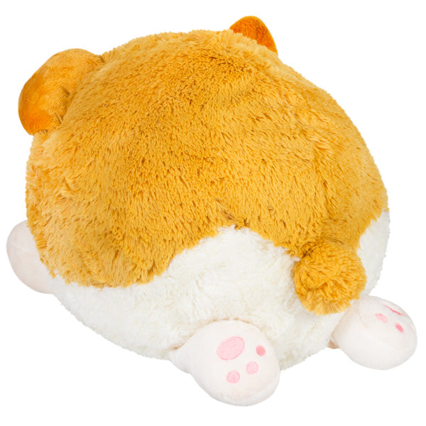 Squishable Baby Corgi (Standard) - The misfit market