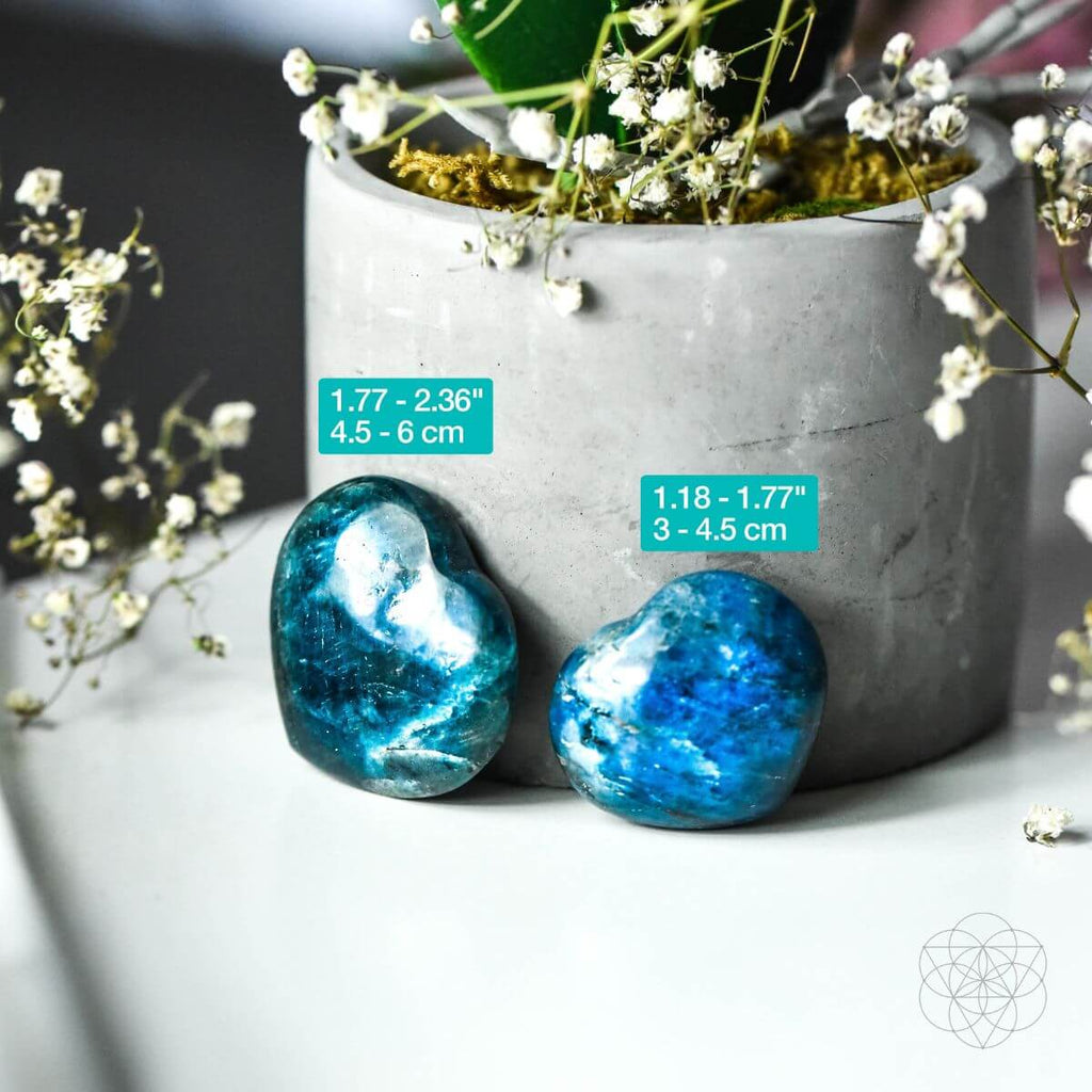 Apatite Heart of Positivity - The misfit market
