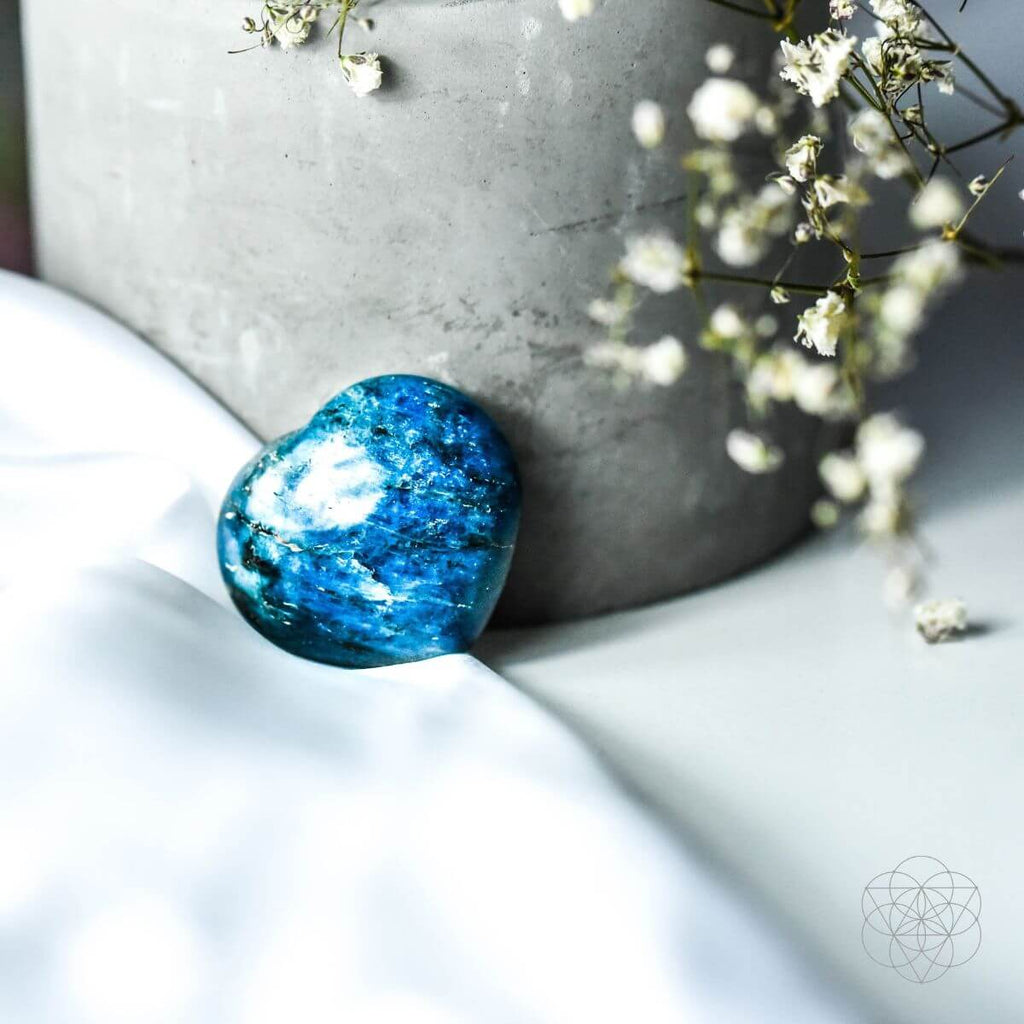 Apatite Heart of Positivity - The misfit market