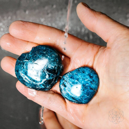 Apatite Heart of Positivity - The misfit market