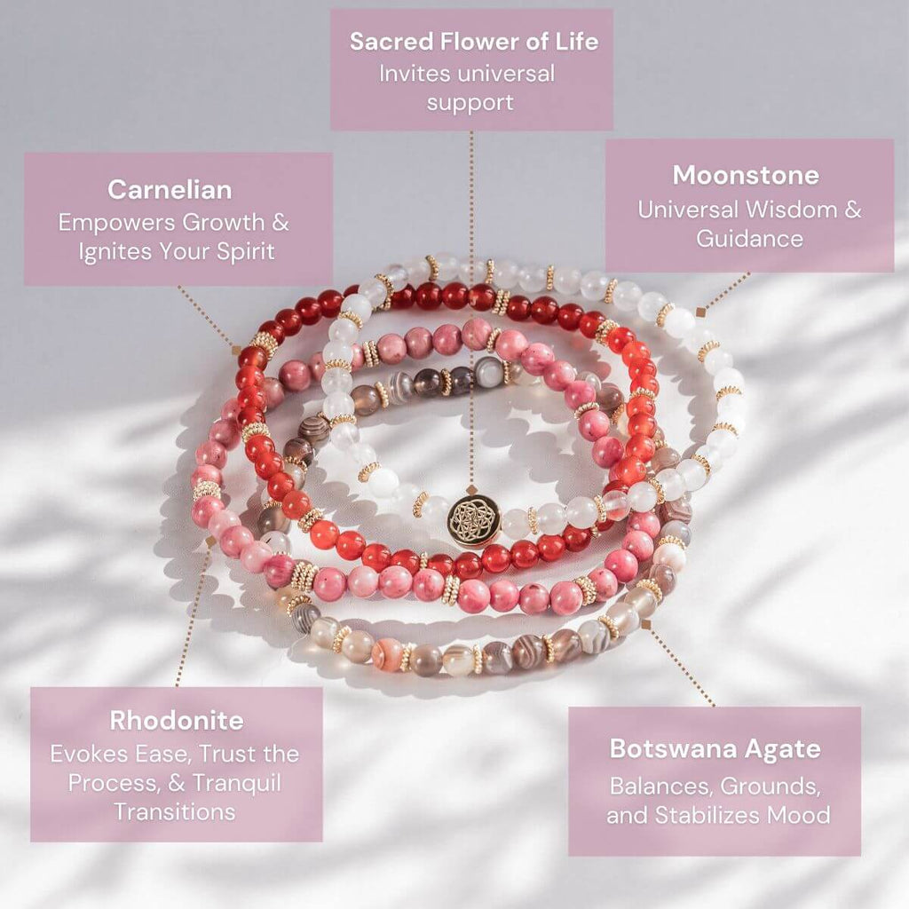 Change & Transformation Bracelet Pack of 4 - The misfit market