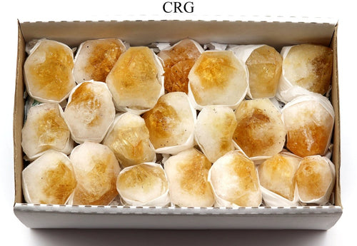 Citrine Points Large Extra Quality Medium Flat (1 Flat) Size 70 to 85 mm Bulk Wholesale Lot Crystal Minerals - The misfit market