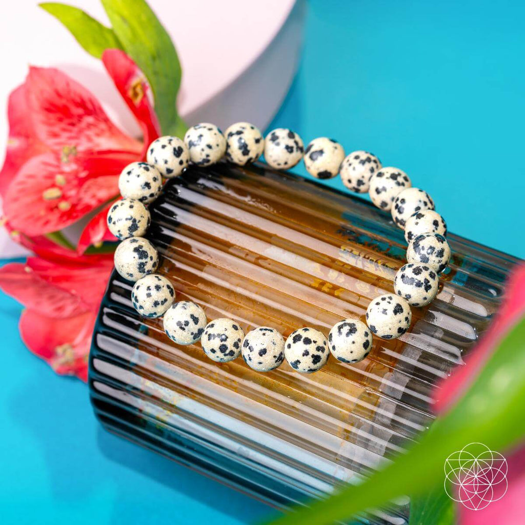 Emotional Detox - Dalmatian Jasper Bracelet - The misfit market
