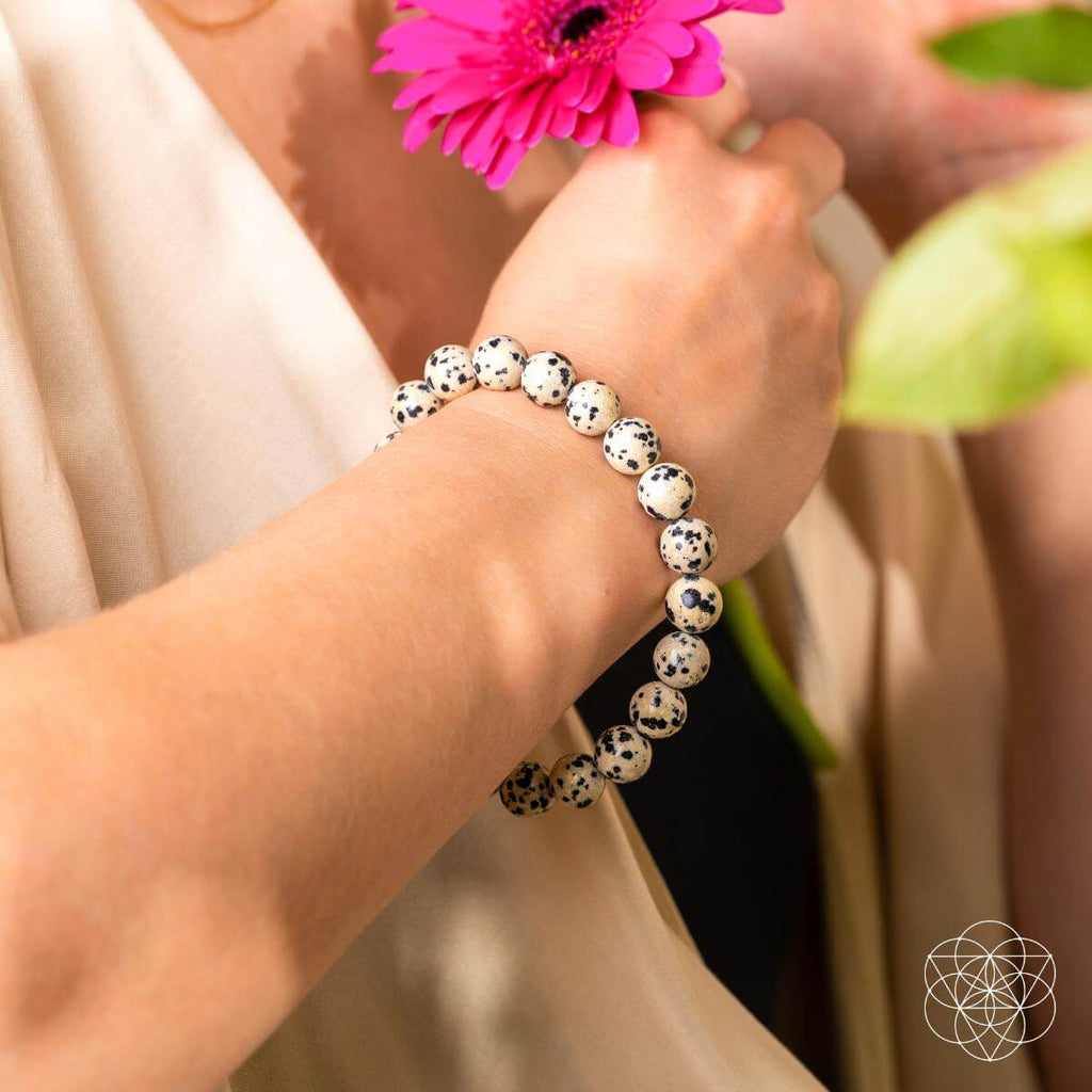 Emotional Detox - Dalmatian Jasper Bracelet - The misfit market