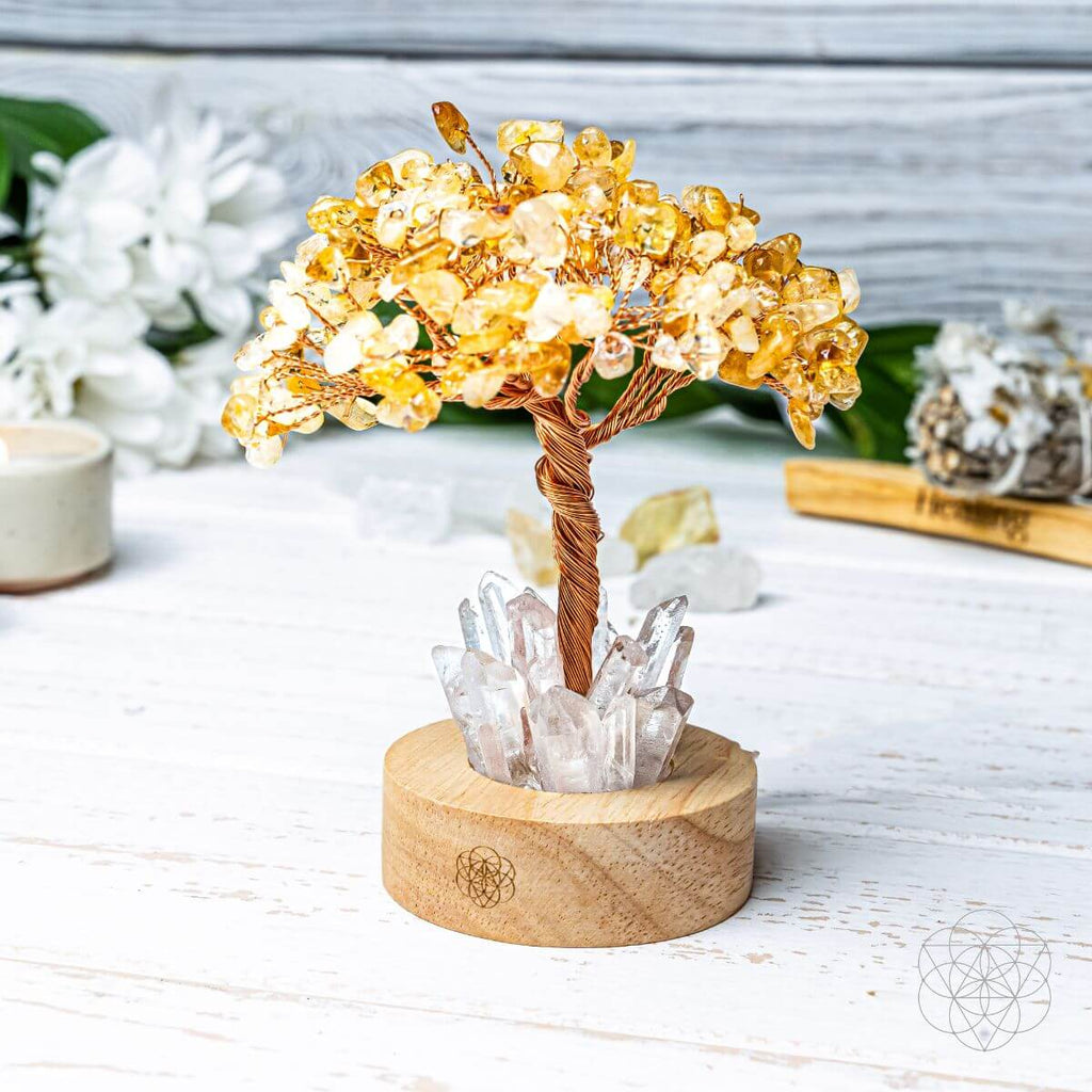 Golden Lamp of Wealth - Citrine Tree - The misfit market