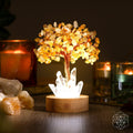 Golden Lamp of Wealth - Citrine Tree - The misfit market