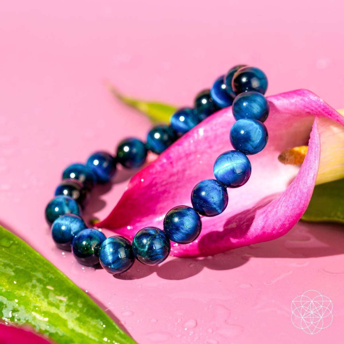 Hawk’s Focus – Royal Blue Tiger’s Eye Bracelet - The misfit market