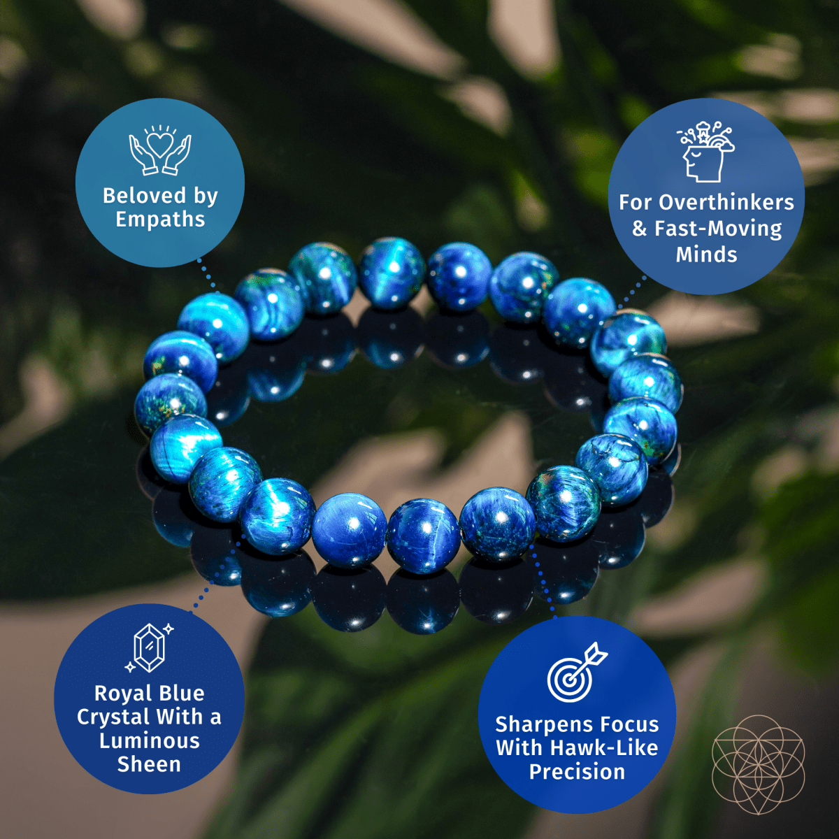 Hawk’s Focus – Royal Blue Tiger’s Eye Bracelet - The misfit market