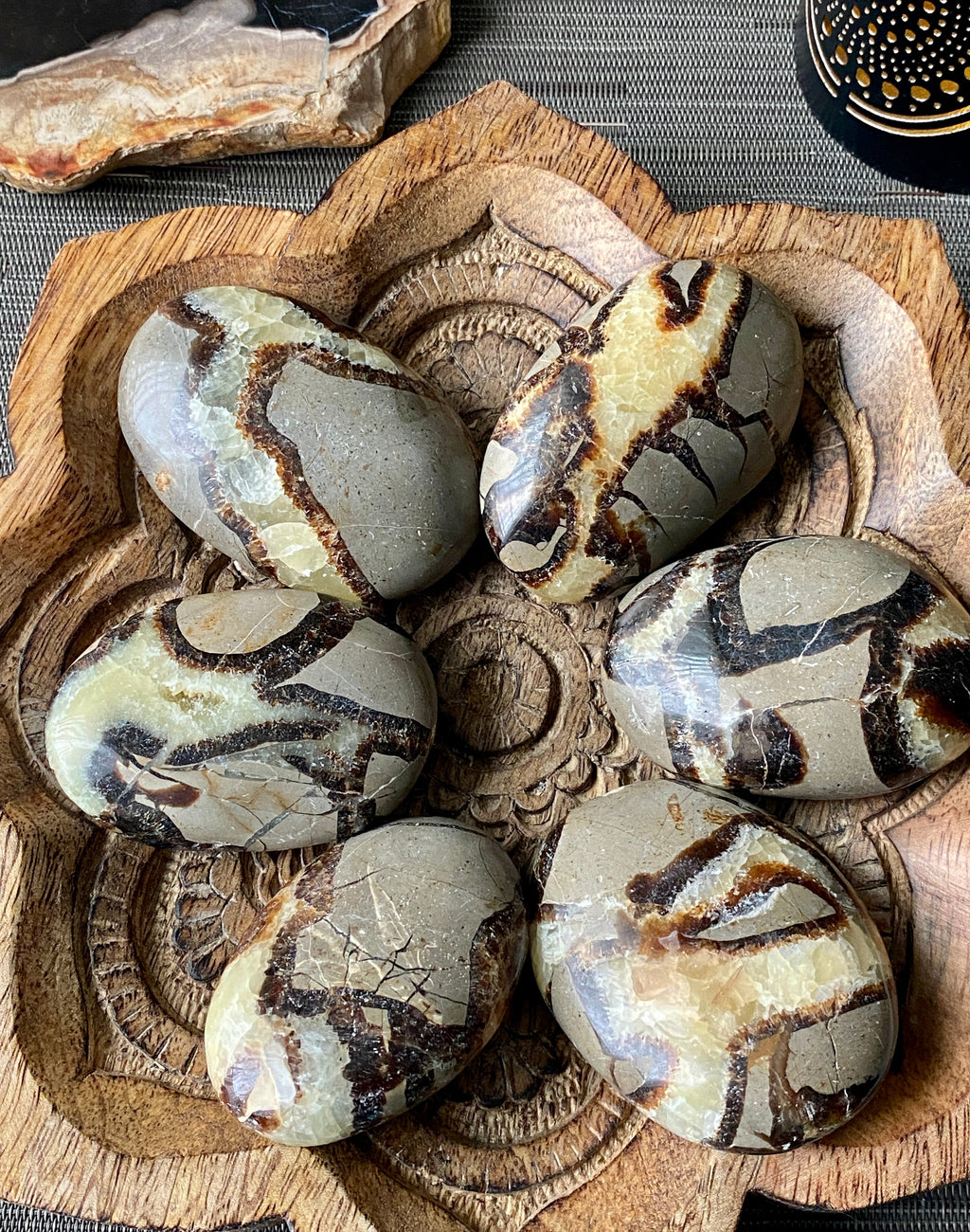 Septarian Palm Stone - The misfit market