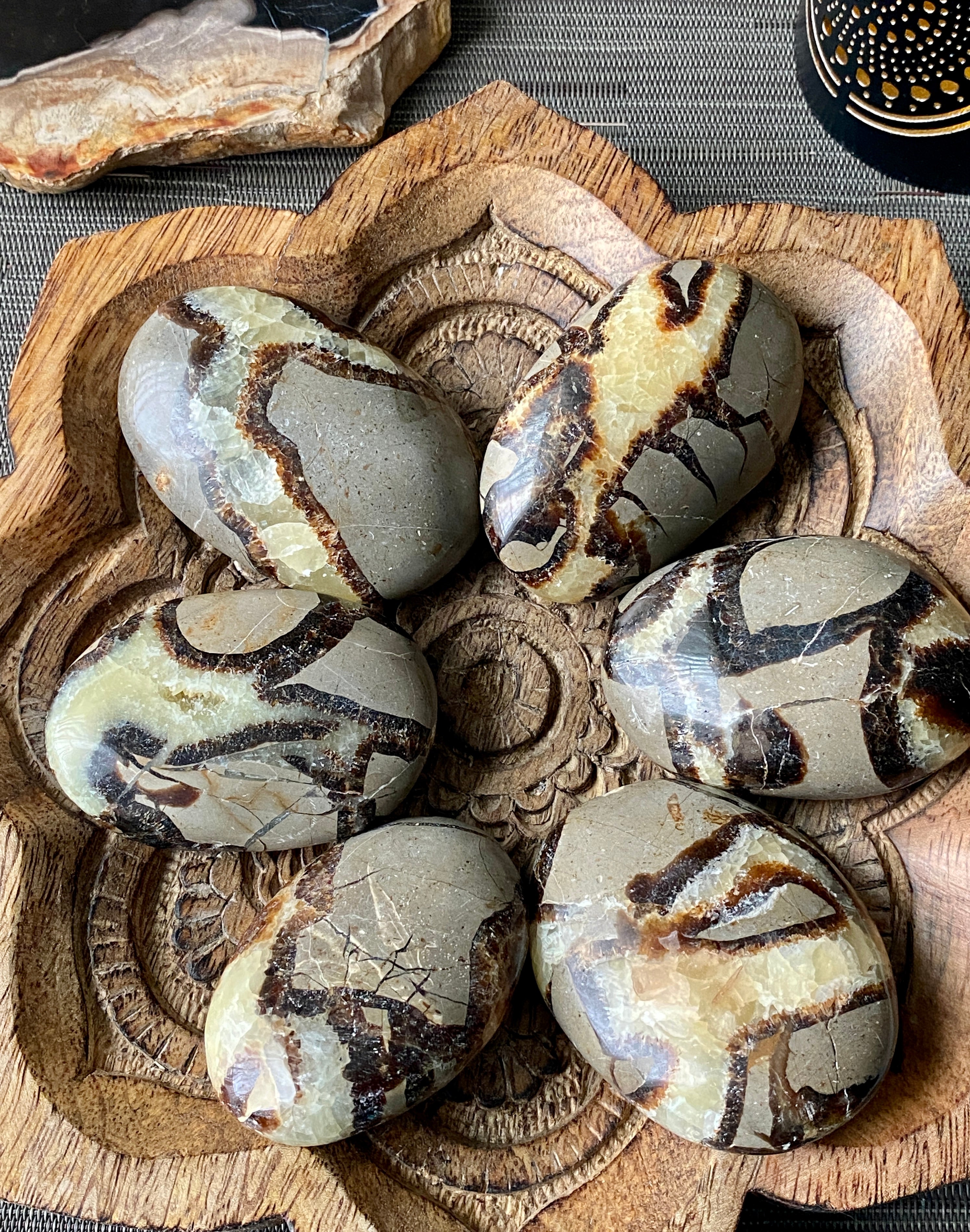 Septarian Palm Stone - The misfit market