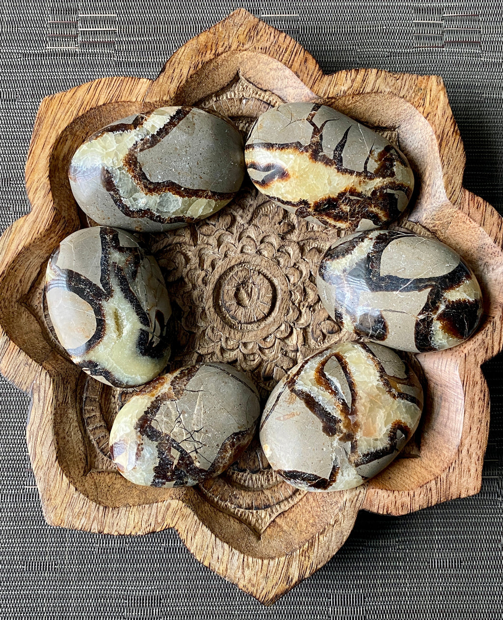 Septarian Palm Stone - The misfit market