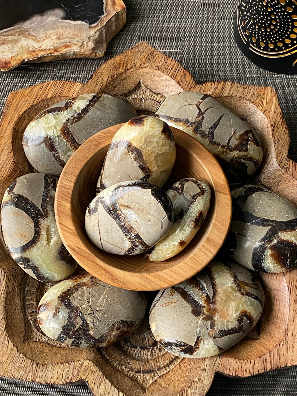 Septarian Palm Stone - The misfit market
