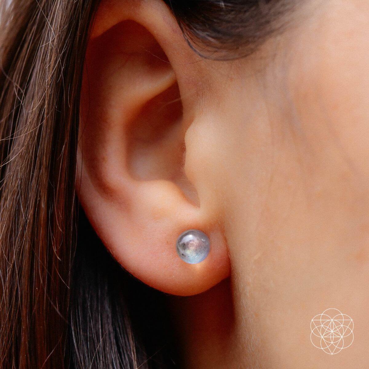 Labradorite Stabilization Earrings - The misfit market