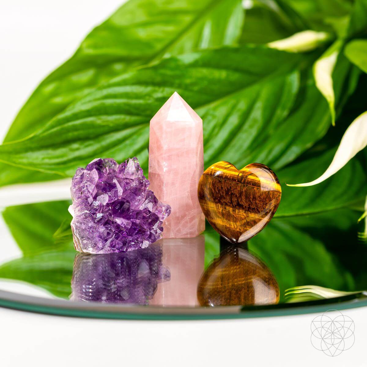 Mindful Multitasker - Crystal Car Kit of Balance - The misfit market