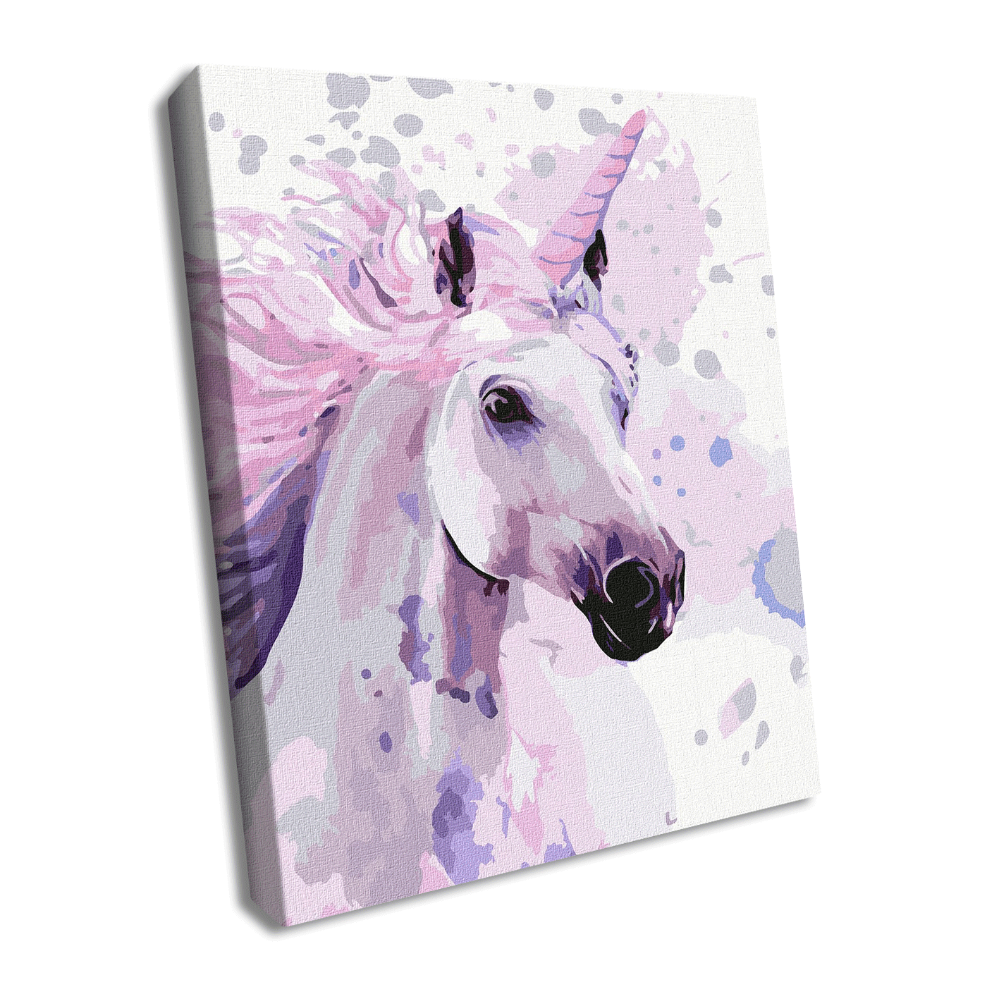 Painting by Numbers kit Make a wish KHO4184 - The misfit market