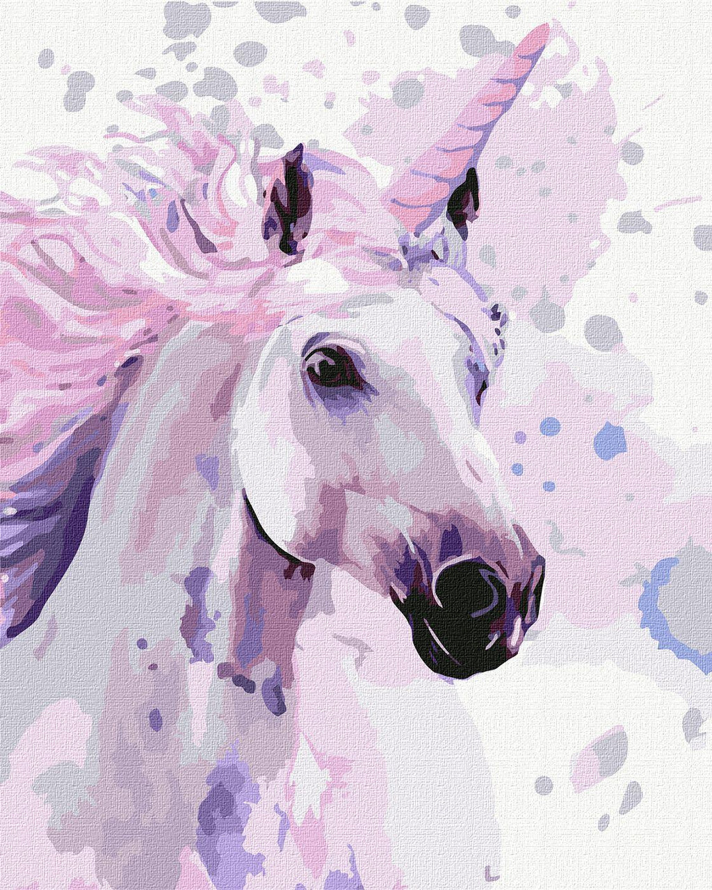 Painting by Numbers kit Make a wish KHO4184 - The misfit market