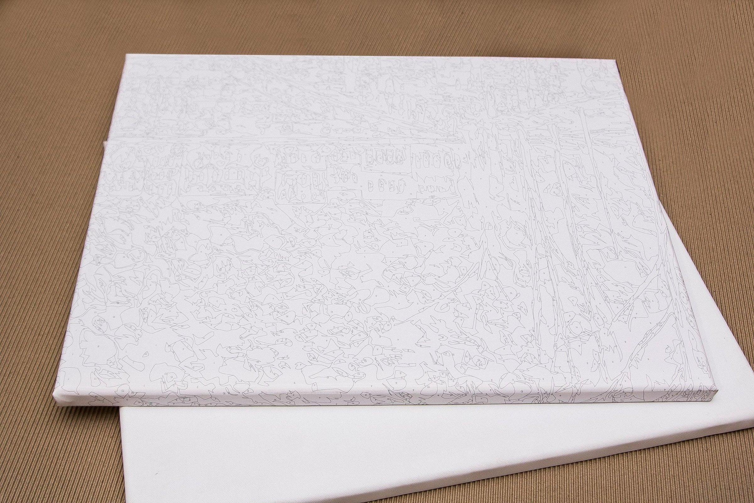 Painting by Numbers kit Make a wish KHO4184 - The misfit market
