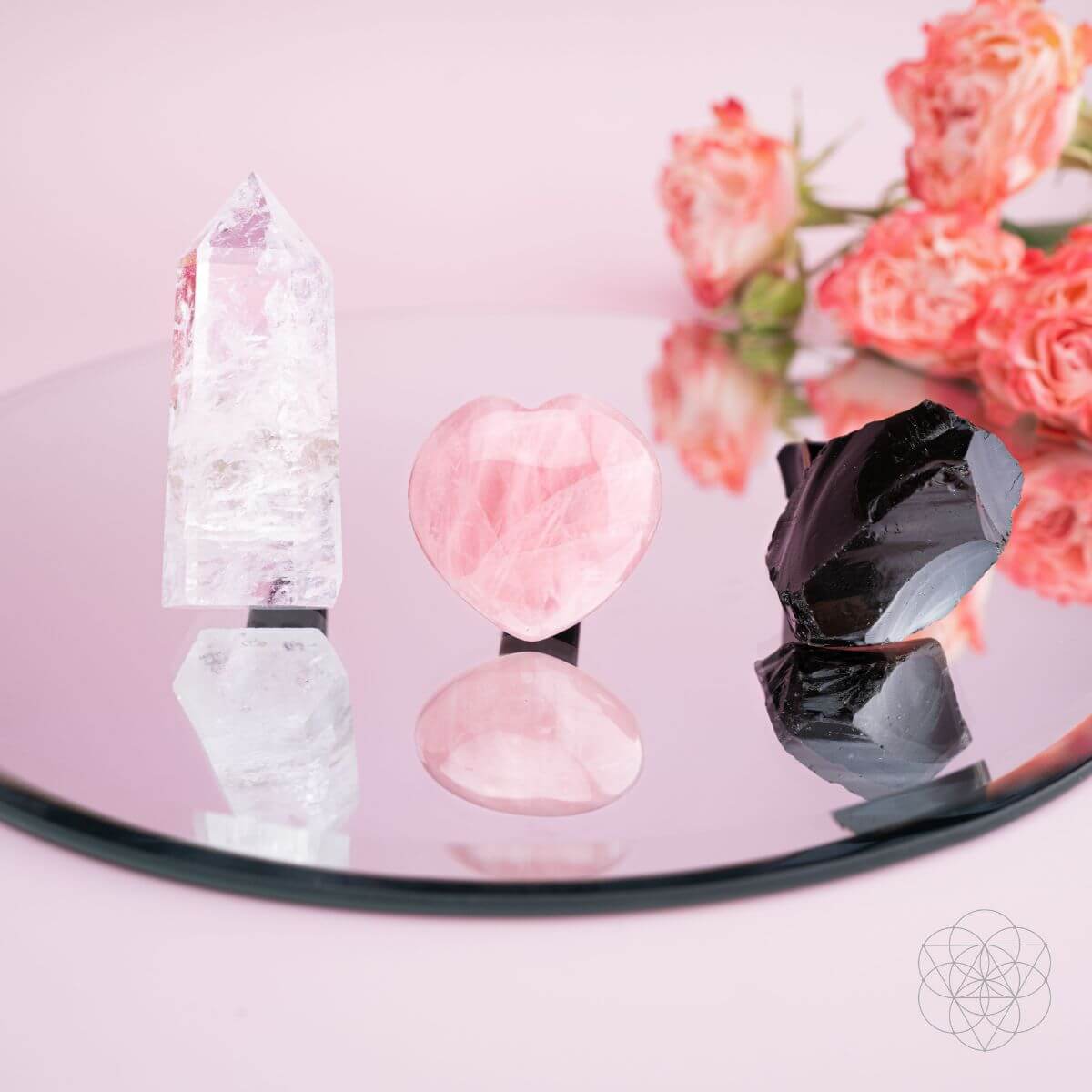 Peace & Protection Powerhouse Collection - The misfit market